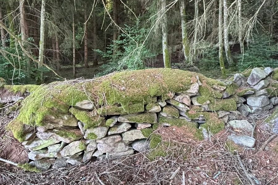 Kamenná zídka porostlá mechem ve smrkovém lese